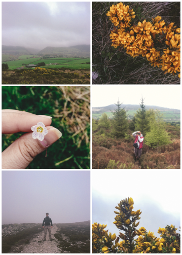 Climbing the Sugarloaf