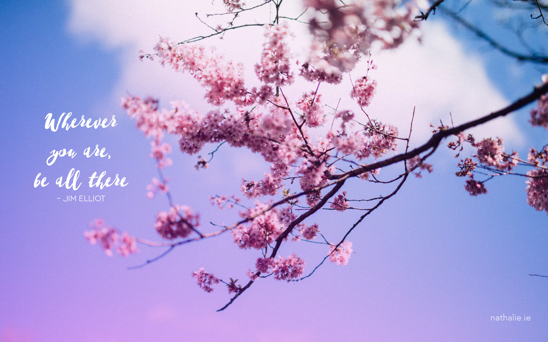 Dublin Cherry Blossoms: Free Travel Desktop Downloads | nathalie.ie