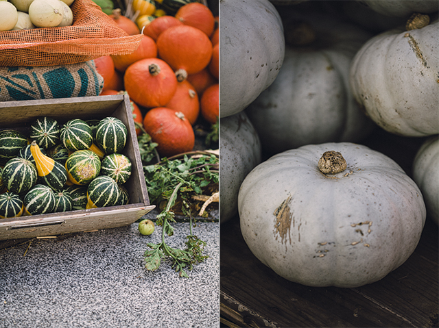 Hallowe'en pumpkins at the National Botanic Gardens, Dublin