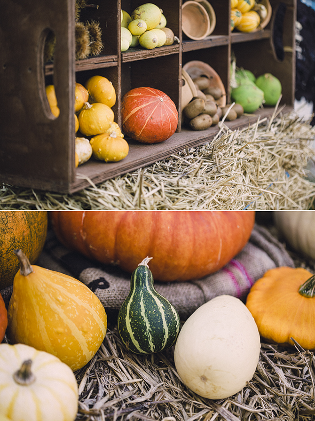 Hallowe'en pumpkins at the National Botanic Gardens, Dublin