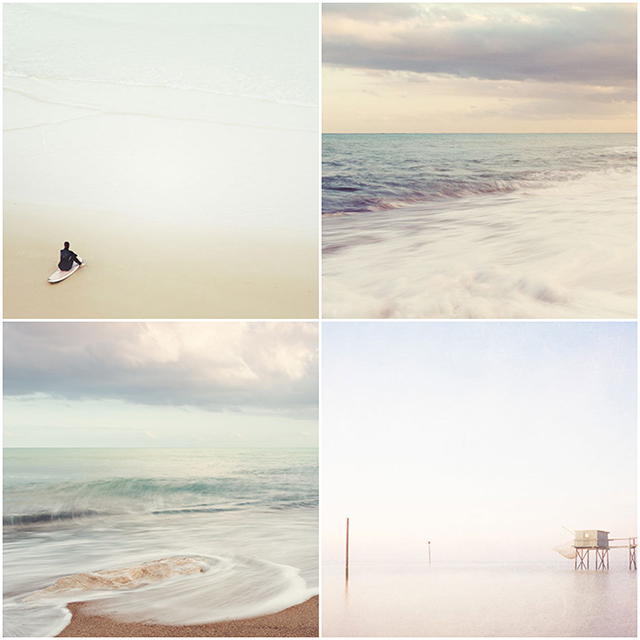 Green Goose Photography