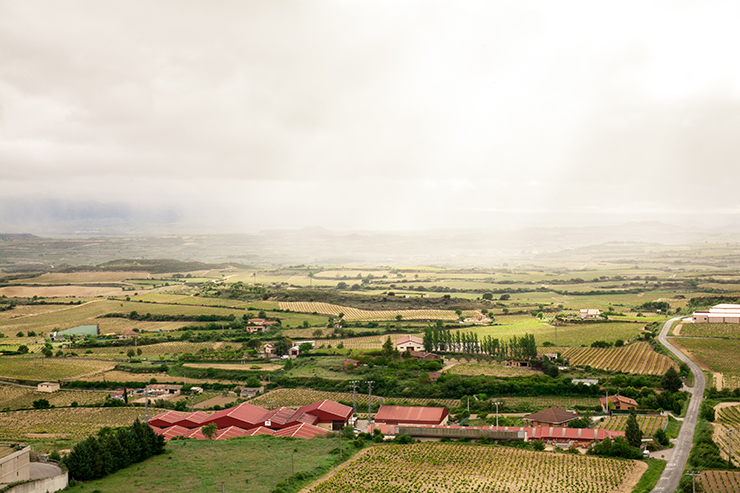 Bircher overnight muesli recipe | nathalie.ie