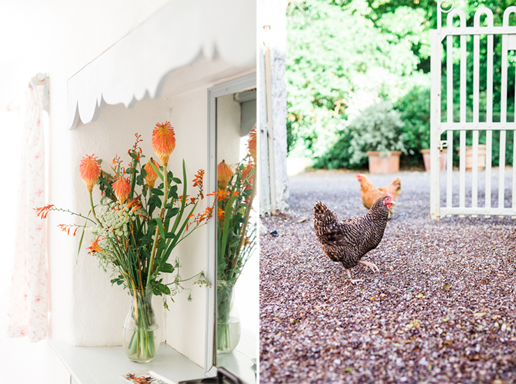 A visit to Ballymaloe | nathalie.ie