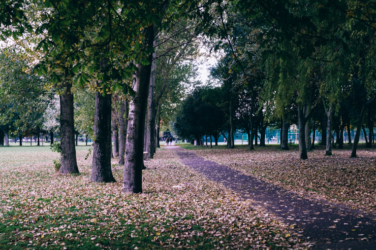 An Autumn Stroll | nathalie.ie
