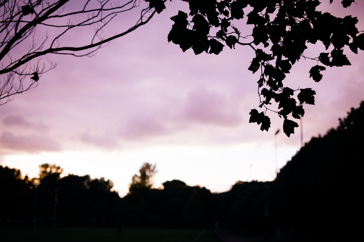 An Autumn Stroll | nathalie.ie