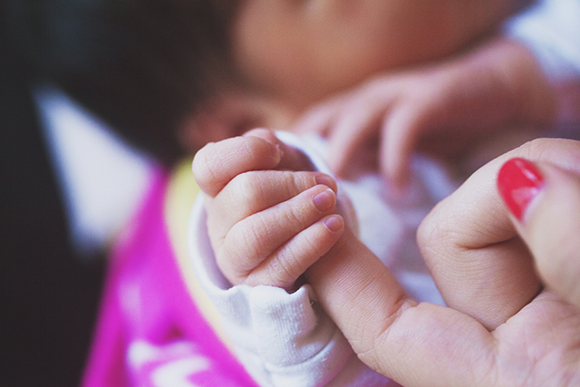 Introducing Isabel | nathalie.ie