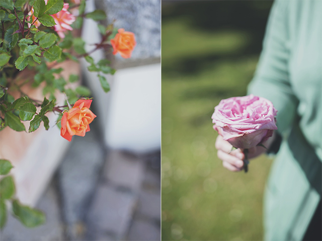 Blooms | nathalie.ie