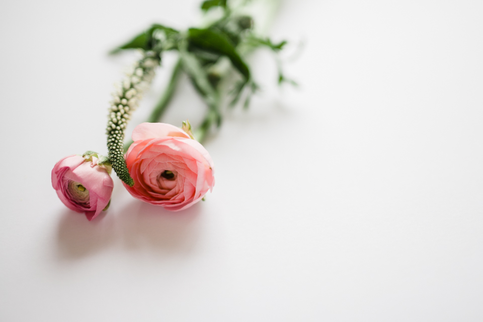 Ranunculus | nathalie.ie
