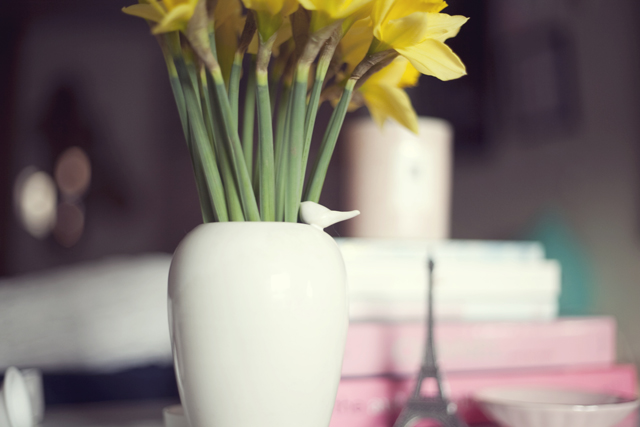 Spring blooms | nathalie.ie