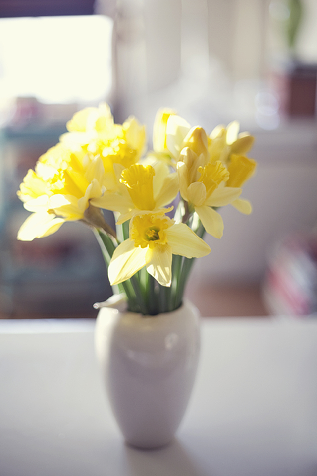 Spring blooms | nathalie.ie