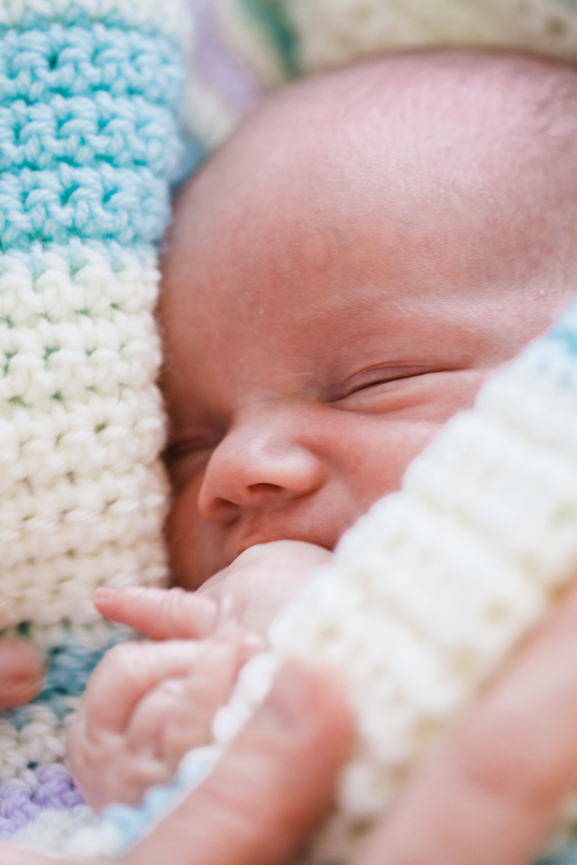 Introducing Sam | nathalie.ie