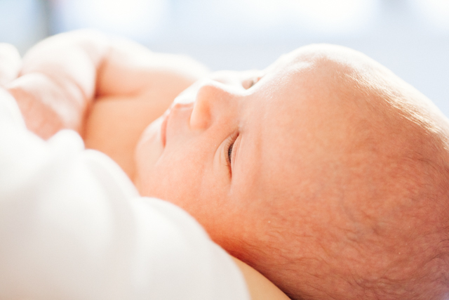 Introducing Sam | nathalie.ie