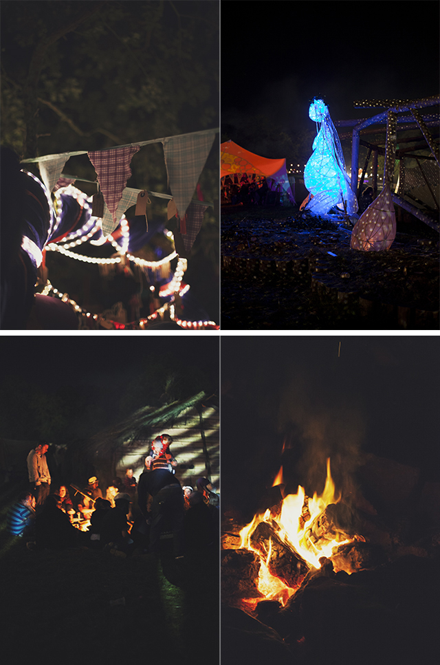 Electric Picnic 2012 | nathalie.ie