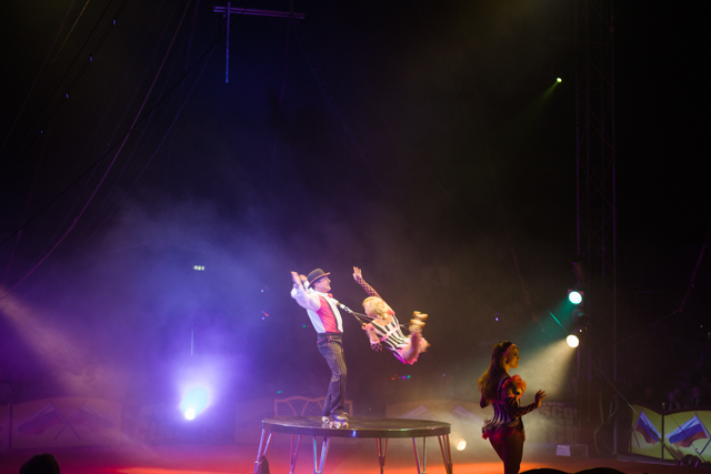 Trip to the circus | nathalie.ie