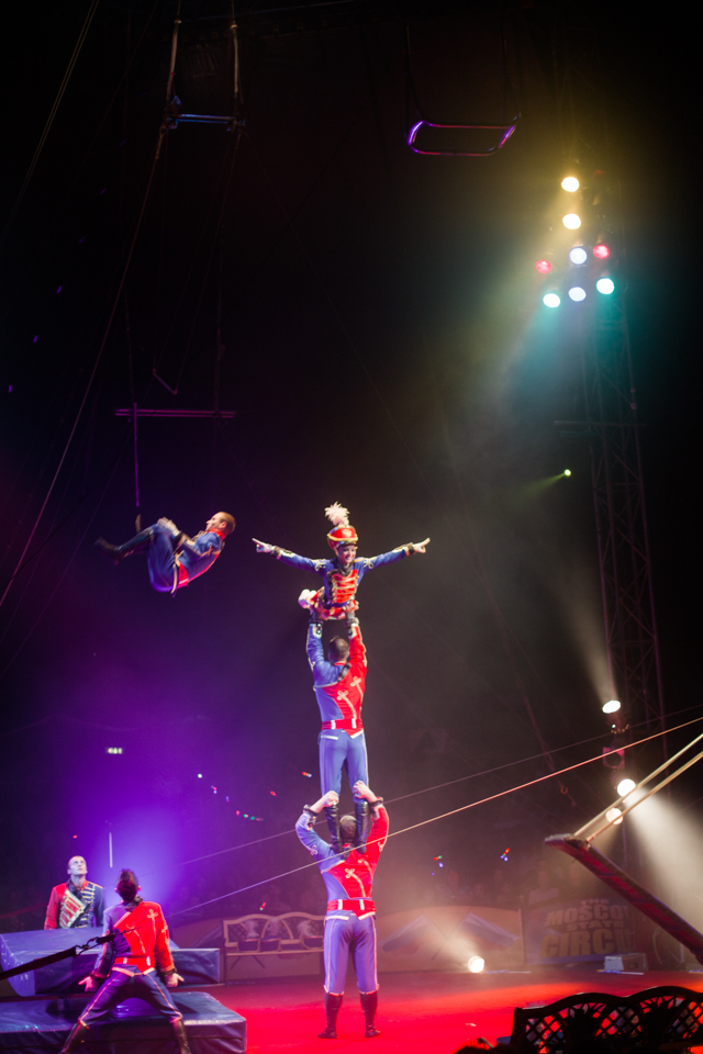 Trip to the circus | nathalie.ie