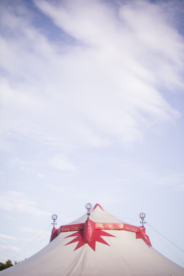 Trip to the circus | nathalie.ie