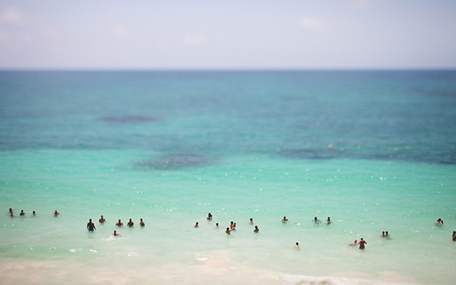 Max Wagner Desktop Wallpaper