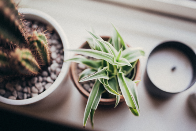 Weekend round up | nathalie.ie