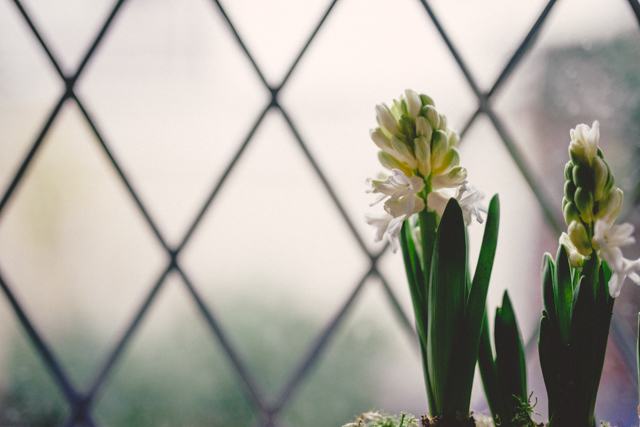 little by little | nathalie.ie