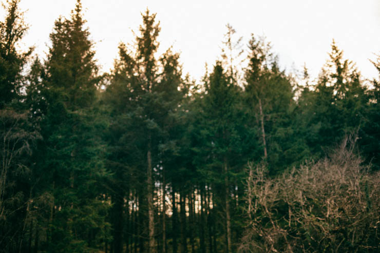 Hustle before heart | nathalie.ie