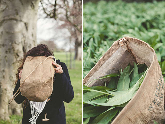 Foraging for wild garlic in Phoenix Park | nathalie.ie