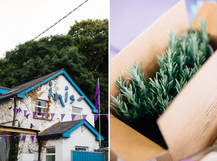 Summer lavender harvest in Wicklow | nathalie