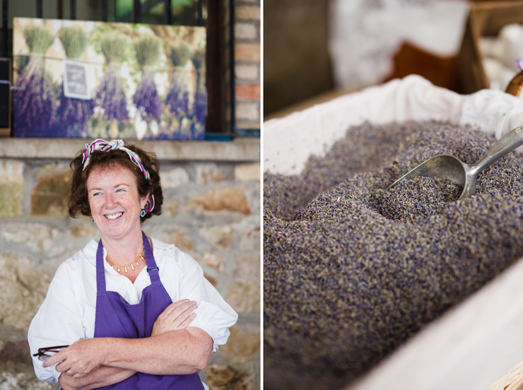 Summer lavender harvest in Wicklow | nathalie
