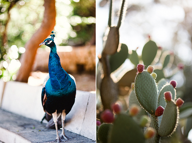 A round up of some of the most romantic things to do when on holidays in the ancient Croatian city of Dubrovnik.