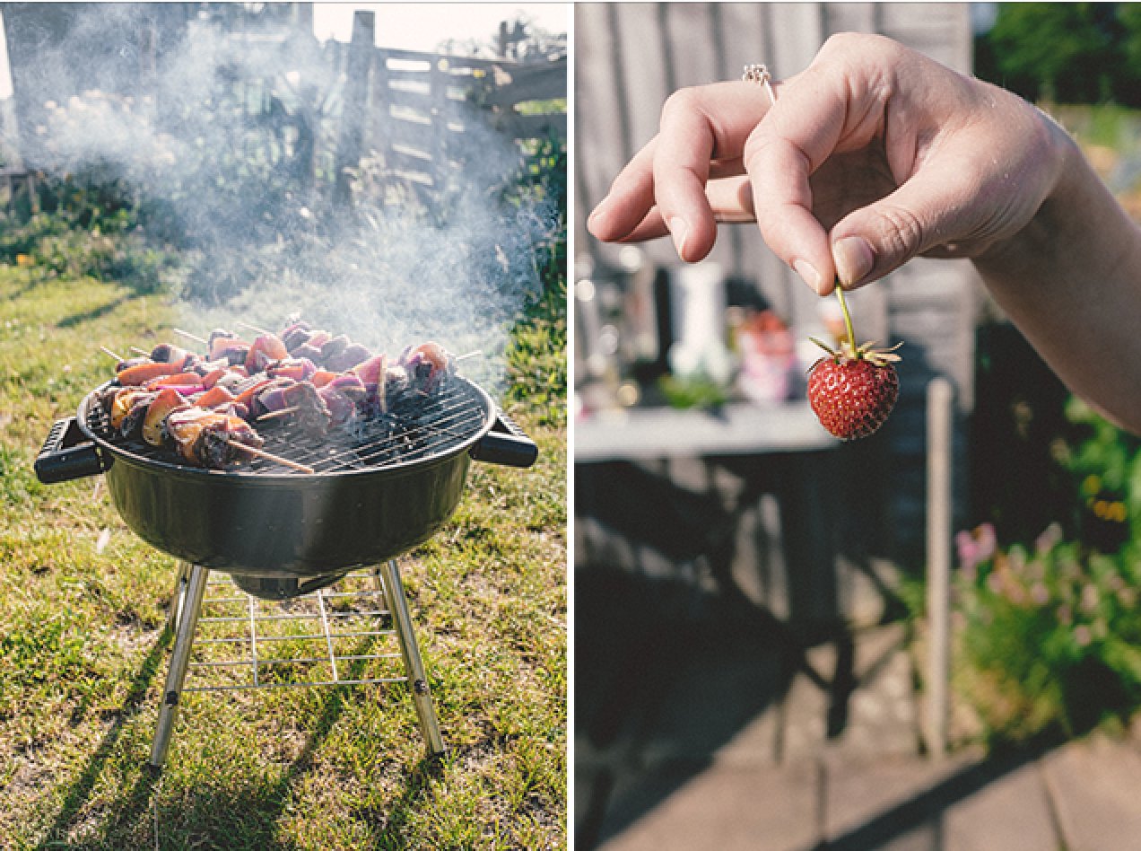 Allotment BBQ | nathalie.ie