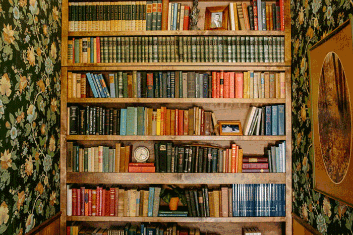 Sharkpig's new studio