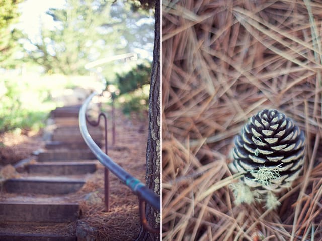 Treebones, Big Sur, California