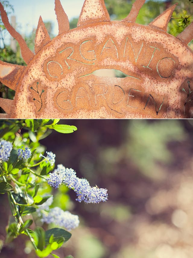 Treebones, Big Sur, California