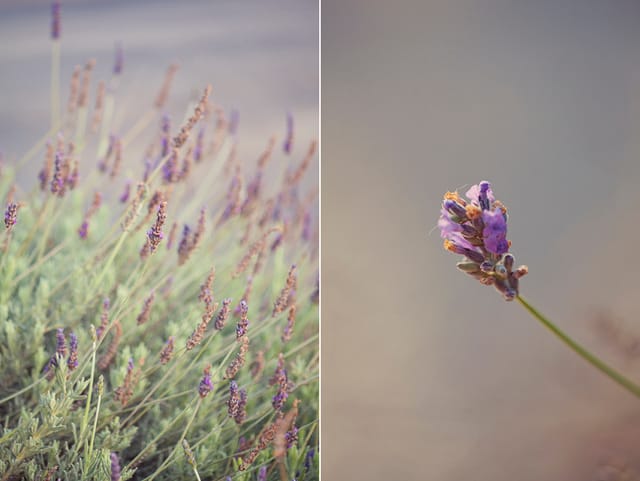 Treebones, Big Sur, California