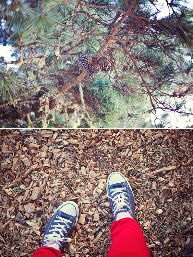 Treebones, Big Sur, California