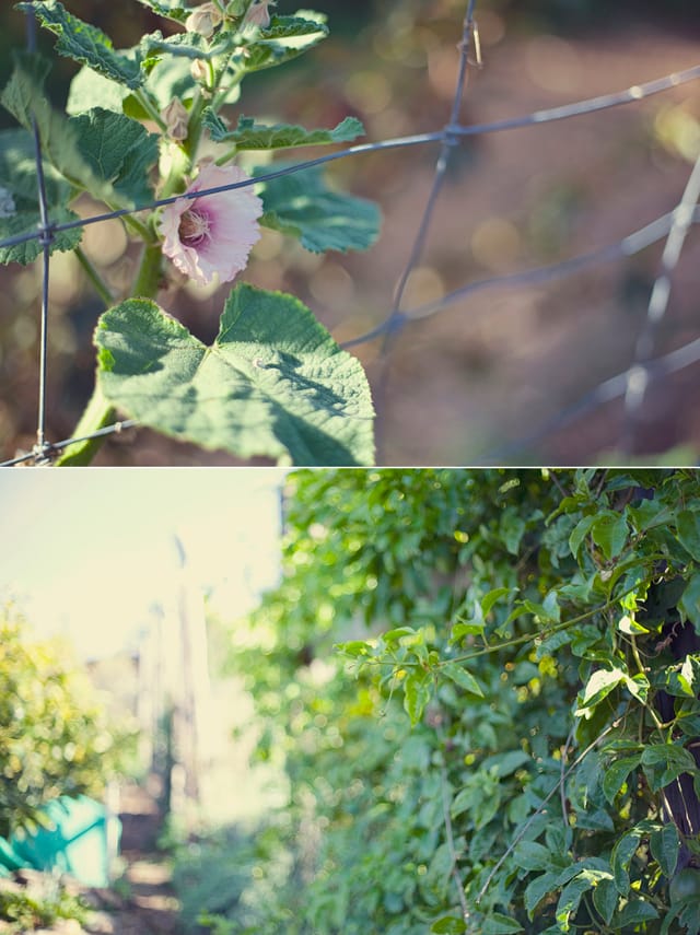 Treebones, Big Sur, California