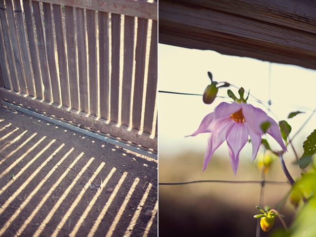 Treebones, Big Sur, California