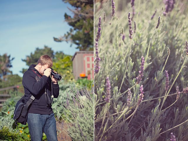 Treebones, Big Sur, California