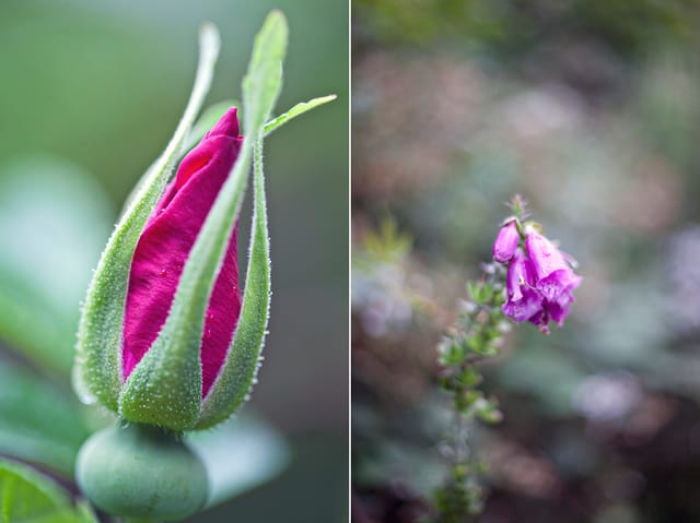 Indian Statue Garden
