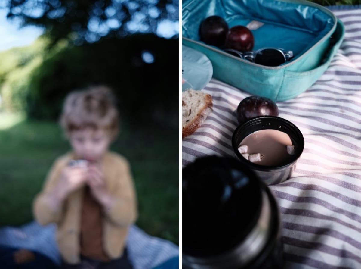 A picnic of plums and hot chocolate