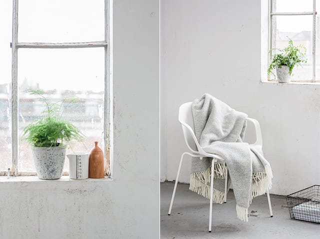 Recent Work: Black, White and Botanicals