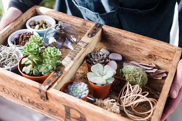 Terrarium DIY | nathalie.ie