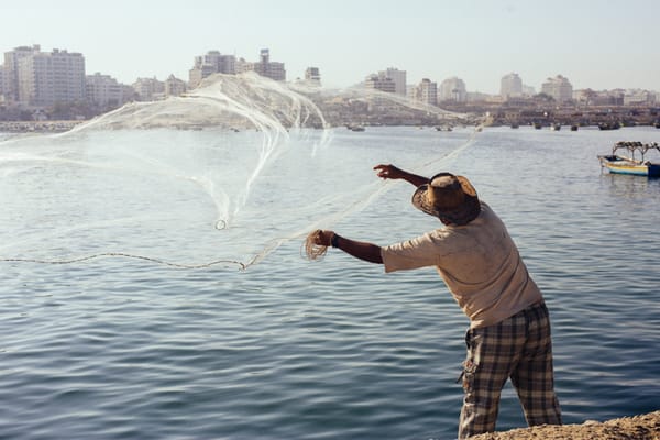 Gaza Port | nathalie.ie