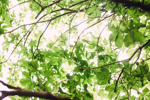 If you’re not all-in, you’re out