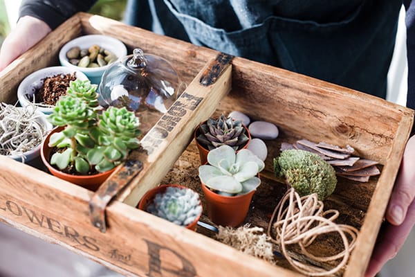 Terrarium DIY | nathalie.ie